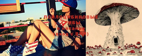 MDMA Premium VHQ Дмитровск