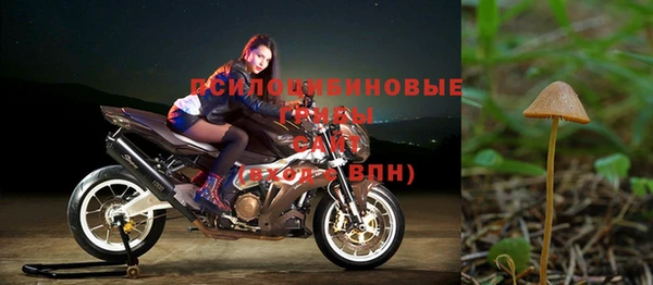 MDMA Premium VHQ Ельня